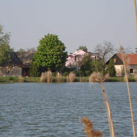Vila Madams - Palic-Serbia Ngoại thất bức ảnh