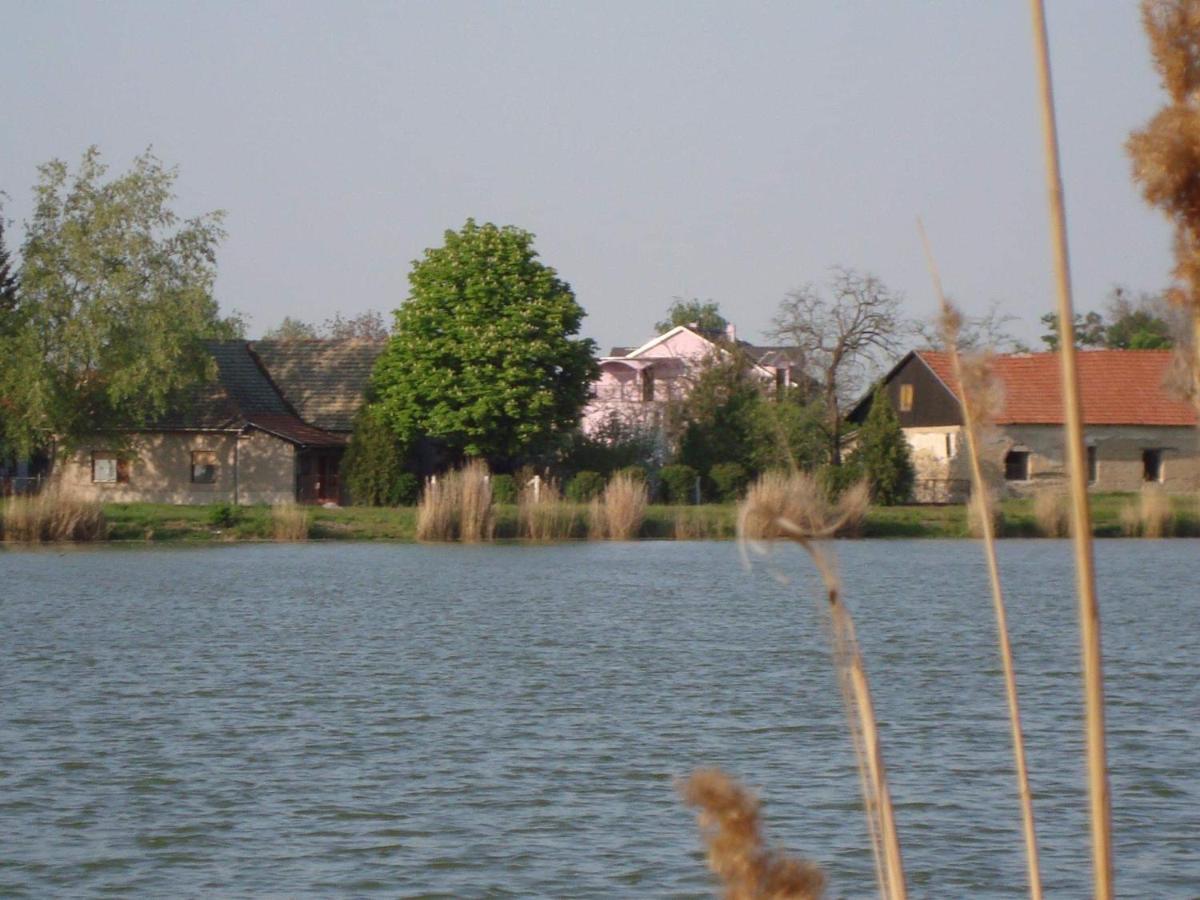 Vila Madams - Palic-Serbia Ngoại thất bức ảnh