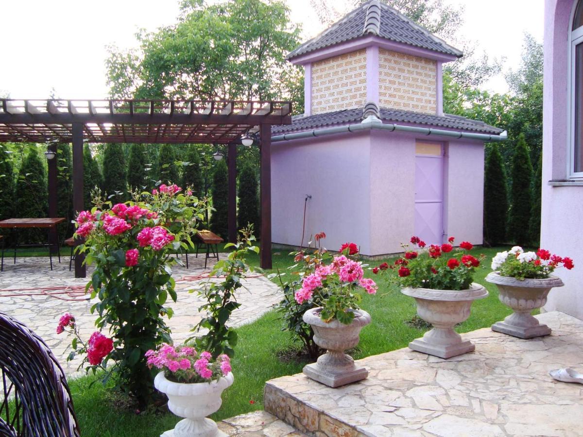 Vila Madams - Palic-Serbia Ngoại thất bức ảnh