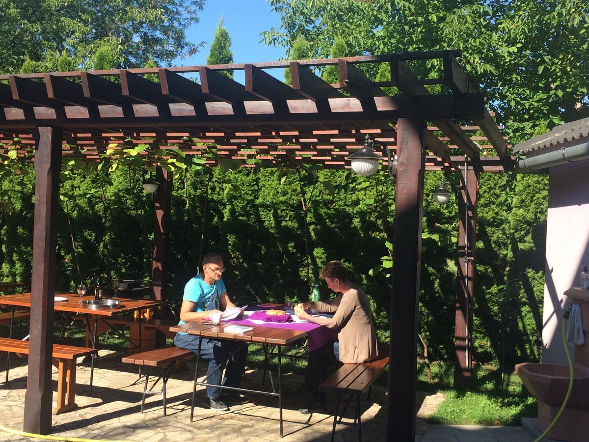 Vila Madams - Palic-Serbia Ngoại thất bức ảnh