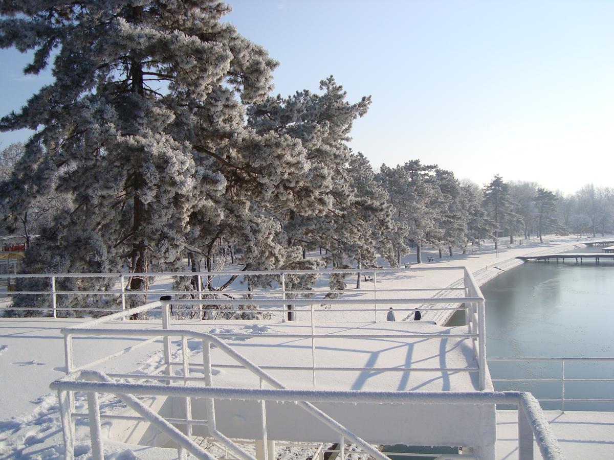 Vila Madams - Palic-Serbia Ngoại thất bức ảnh
