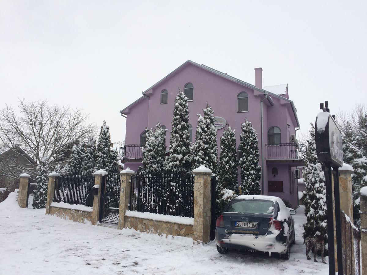 Vila Madams - Palic-Serbia Ngoại thất bức ảnh