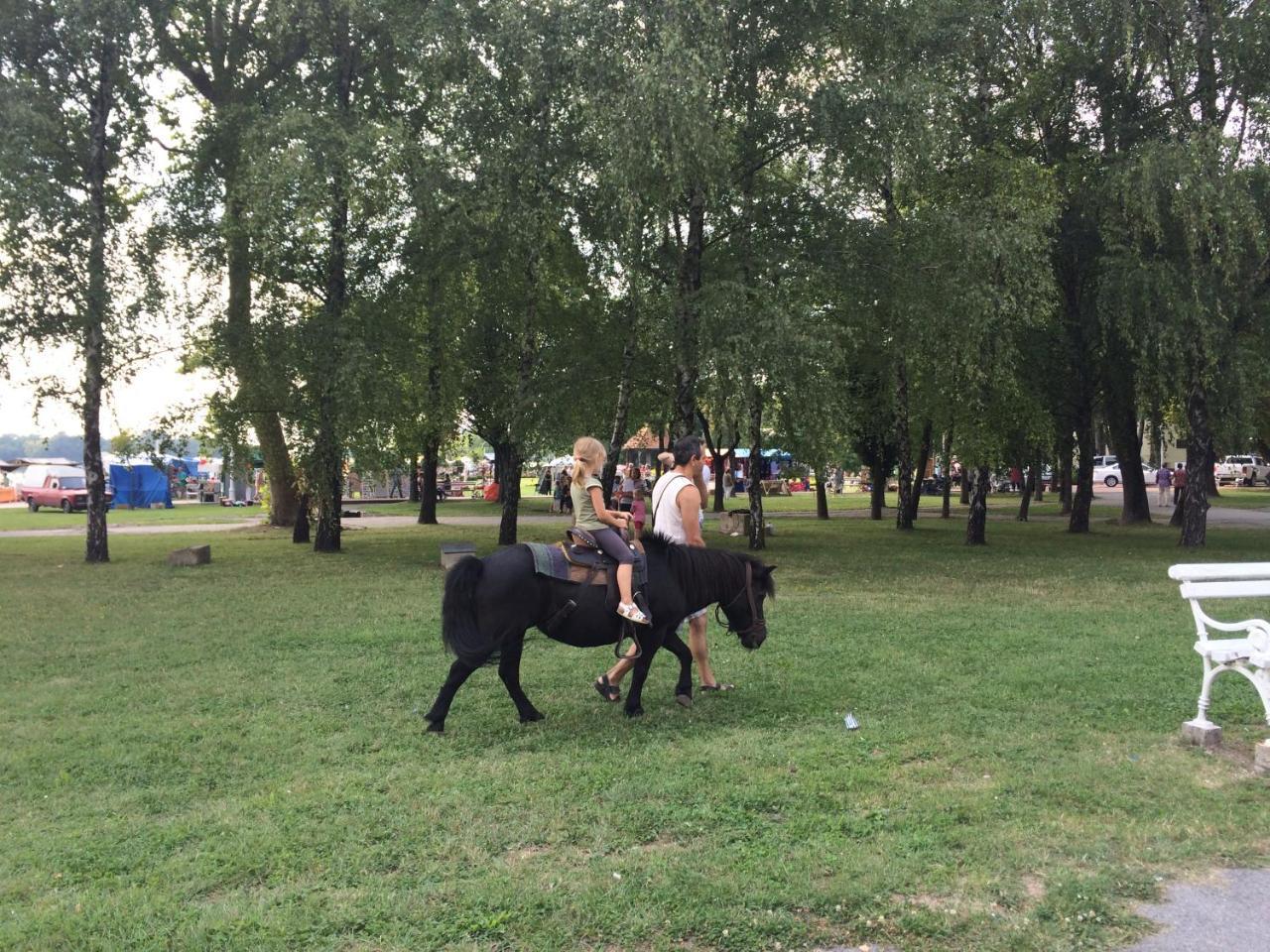 Vila Madams - Palic-Serbia Ngoại thất bức ảnh